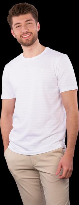 Produktbild Vanguard 10021776 (XL)