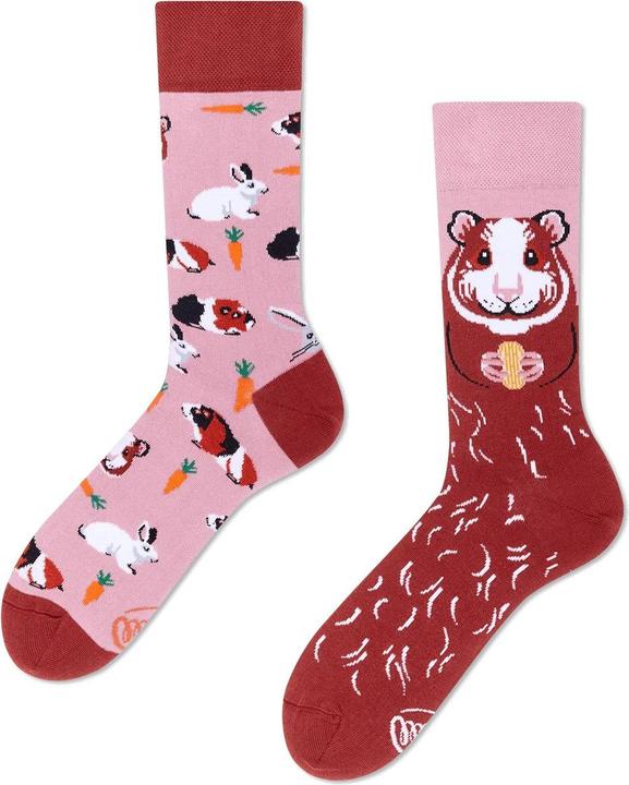 Immagine prodotto Many Mornings Miss Guinea Pig (Confezione singola, 39 - 42)