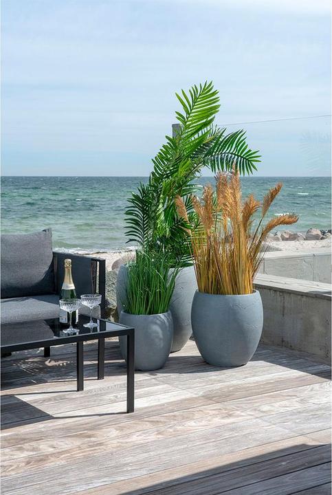 Actual product image House Nordic Areca (175 cm)