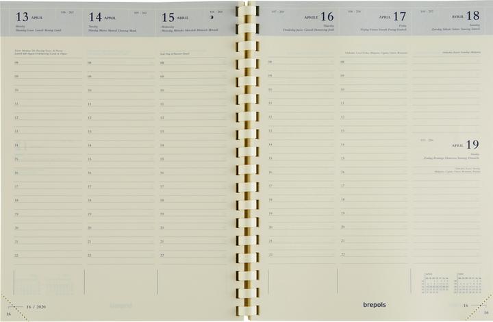 Actual product image Brepols Agenda Timing Cube 2025 26.3.1482 1W/2S ass. ML 17x22cm (17 x 22 cm, Dutch)