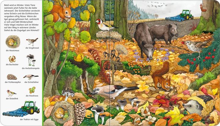 Actual product image Ravensburger Mein grosses Sachen suchen: Wald (German, Susanne Gernhäuser, 2020)