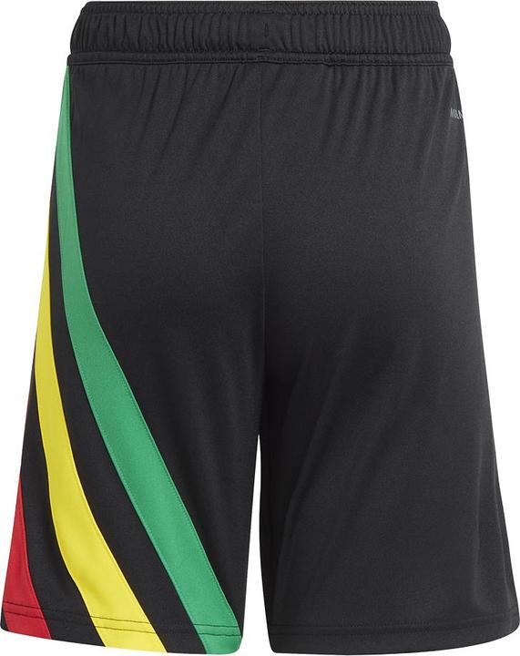 Actual product image adidas FORTORE23 training shorts kids (152)