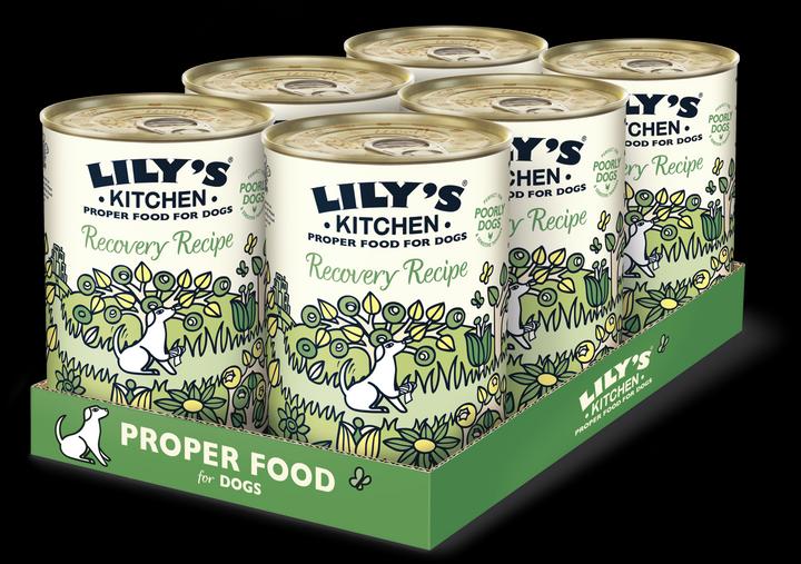 Produktbild Lily's Kitchen Recovery Recipe (Adult, 1 Stk., 2760 g)