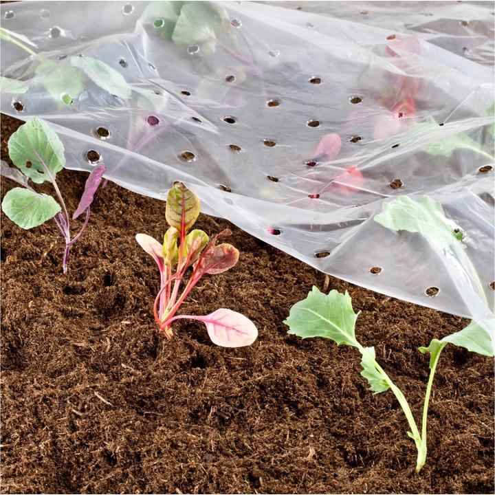 Produktbild Windhager Frühbeet-Folie