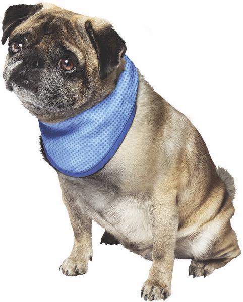 Image du produit Nobby Écharpe rafraîchissante (S, Manteau pour chien)