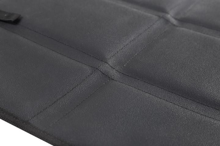 Image du produit Baby Dan BabyDan - High Car Seat Protecter - Noir