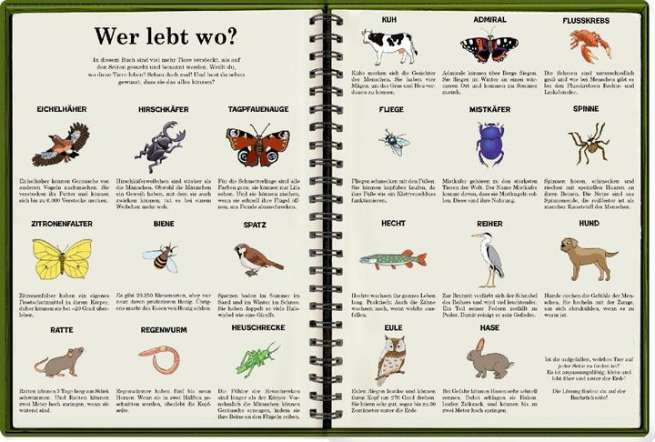 Image du produit Mein riesengrosses WimmelSuchBuch: Tiere über und unter der Erde (Allemand, AntjeFlad, 2024)