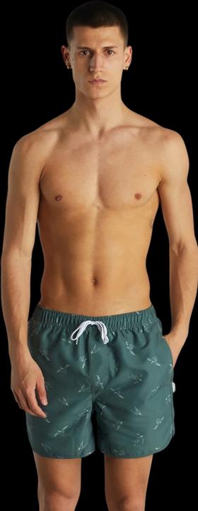 Image du produit Dedicated Swim Shorts Sandhamn Sea Turtles Forest Green S (S)