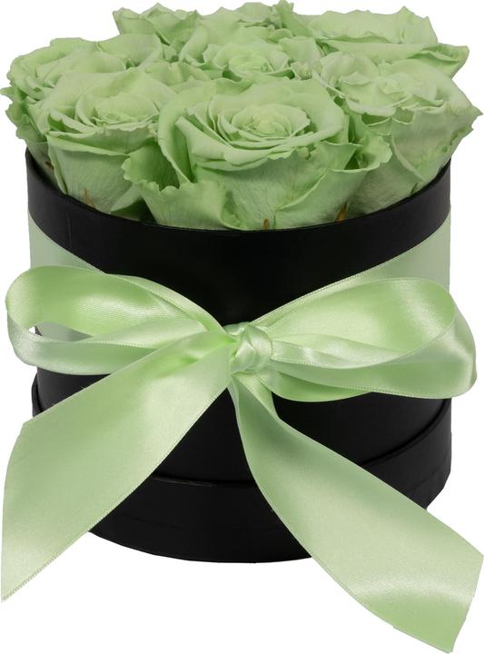 vert (boîte noire)
