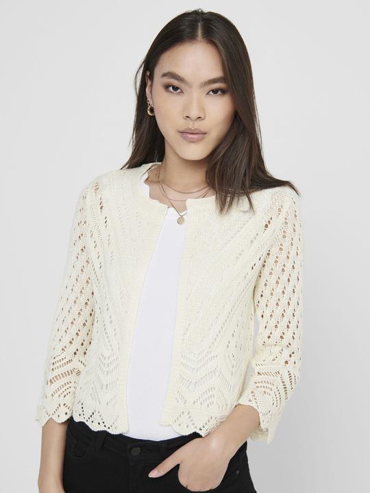 Image du produit JdY Cardigan cropped (L)