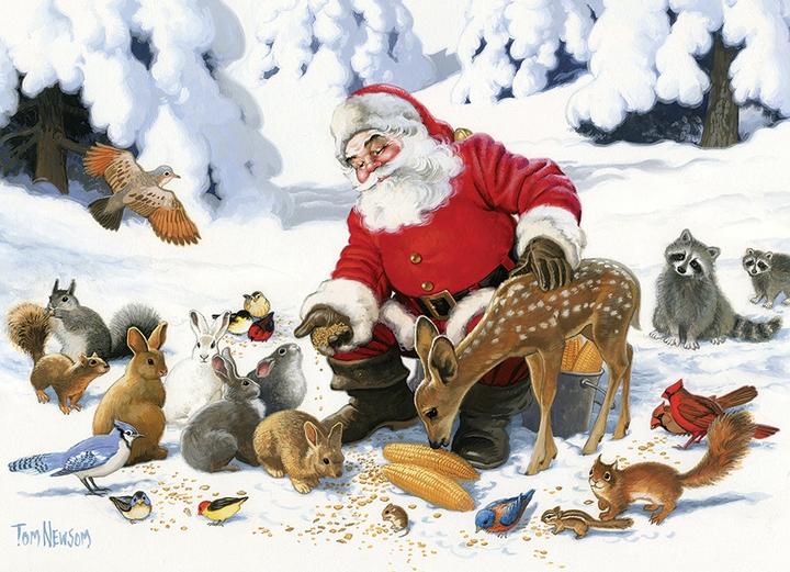 Produktbild Cobble Hill Puzzle 350 pieces XXL Pieces - Family - Santa Claus and Friends (350 Teile)