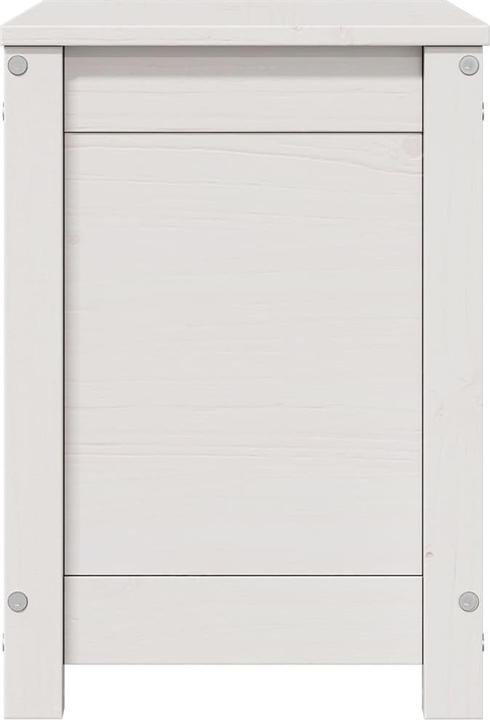 Actual product image VidaXL Truhe