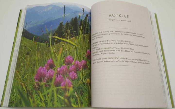 Produktbild Meine Wildkräuter (Deutsch, Martina Fischer, Dorothea Steinbacher, 2023)