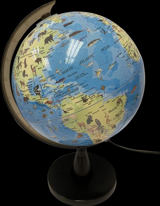Immagine prodotto Tele Globo con animali e luce 20 cm (TY6190) (20 cm)