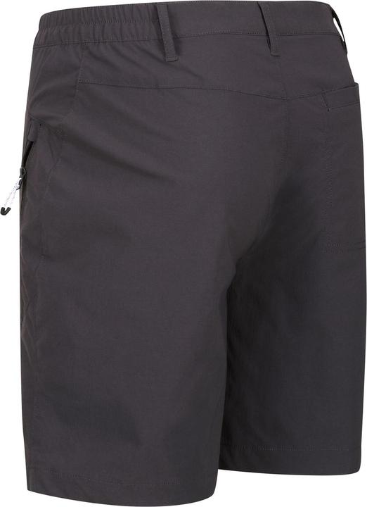 Immagine prodotto Regatta Highton Pantaloncini Escursionismo Uomo (46 D)
