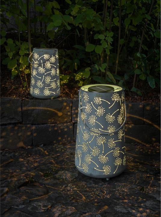 Actual product image STT Antic Dandelion