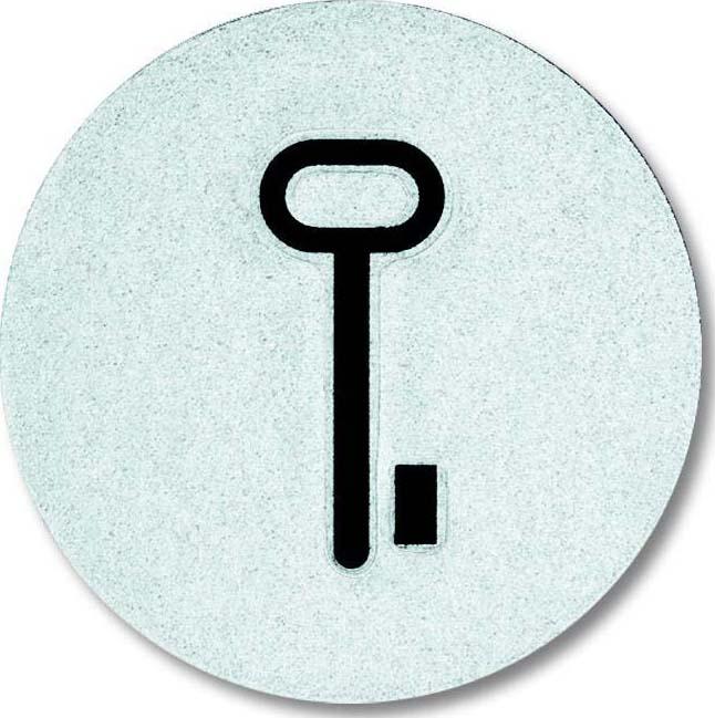 Actual product image Busch-Jaeger Scannable symbol key 2CKA001714A0297