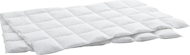 Image du produit Billerbeck Edition Thea Clima Superlight (360 g, 200 x 210 cm)