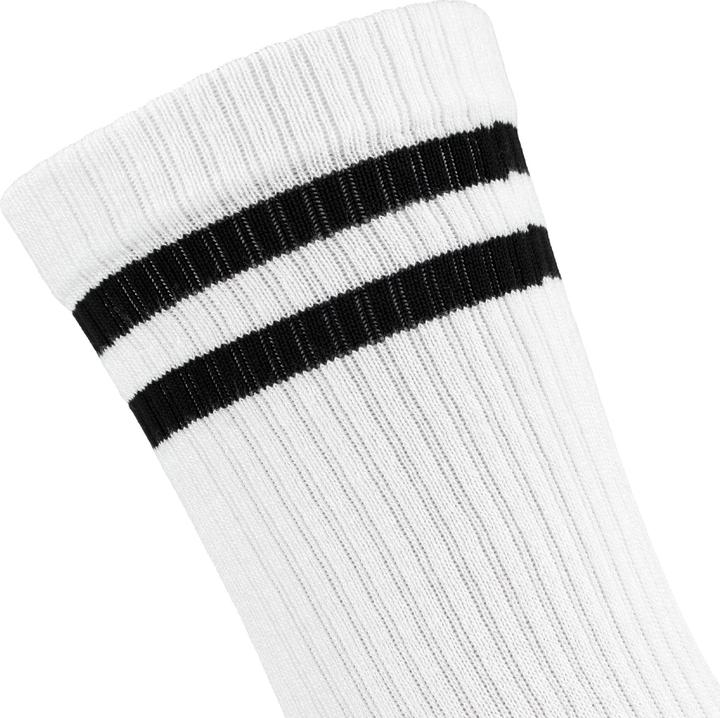 Immagine prodotto Black Snake 6 Pack (confezione da 6, 39, 42)