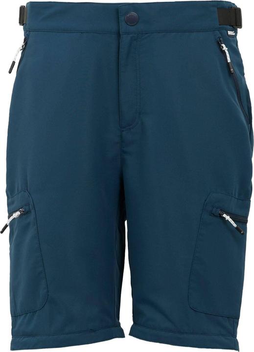 Immagine prodotto Regatta Leesville III Pantaloni da Trekking Cerniera Rimovibile Uomo (42)