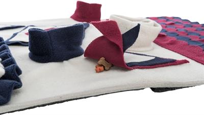 Actual product image Trixie Dog Activity Strategy Game Sniffing Carpet (Intelligence toy dog)