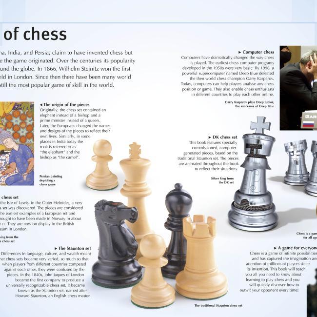 Actual product image How to Play Chess