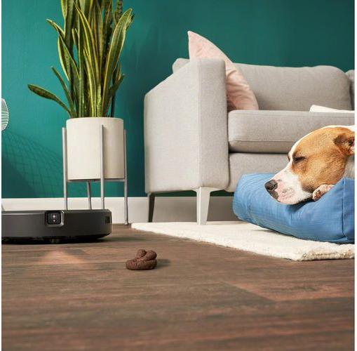 Actual product image iRobot Roomba Combo j7 (c7158) (Vacuum mopping robot)