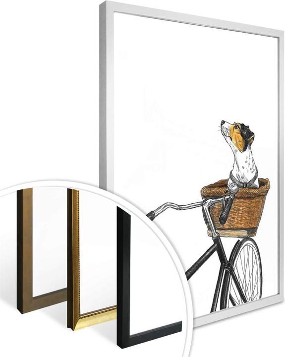 Image du produit Trenddeko Chien dans un panier (100 x 120 cm)