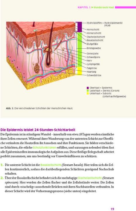 Produktbild Das grosse Buch für die gesunde Haut (Deutsch, Ruth von Braunschweig, Ingeborg Stadelmann, Natalie Stadelmann, 2022)