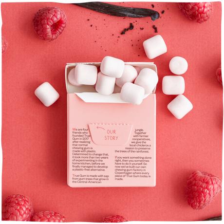 Produktbild True Gum Himbeere & Vanille (1 Stk., 21 g)