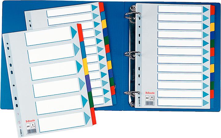 Immagine prodotto Esselte Cartone registro Mylar, vari disegni, singolo