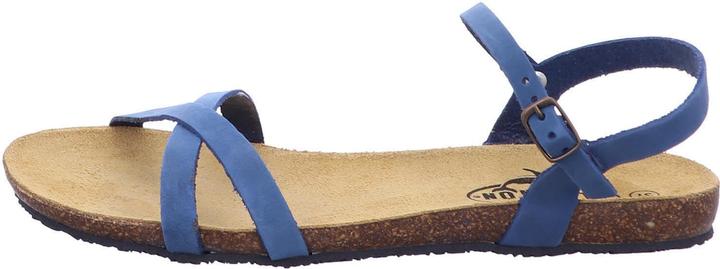 Plakton 575029 Limnea (42)