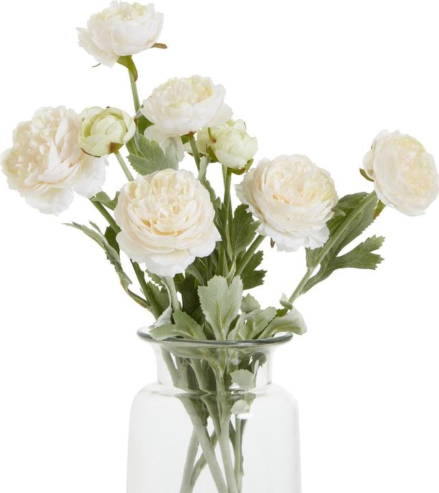 Immagine prodotto Hill Interiors The Natural Garden Collection Ranunculus Fiore Artificiale (50 cm)