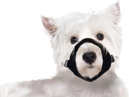 Image du produit Karlie Muselière en nylon S (S, Chien, Sport canin)