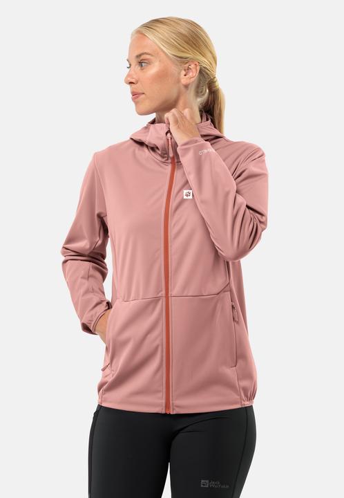 Immagine prodotto Jack Wolfskin Feldberg Hoody W (L)