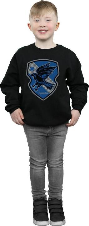 Immagine prodotto Ravenclaw Crest Flat Felpa Ragazzi (152, 158)