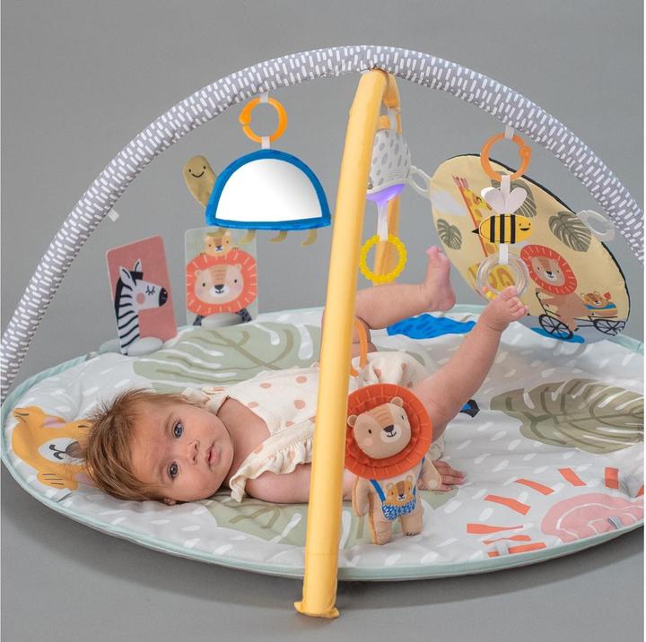 Image du produit Taf Toys Savannah