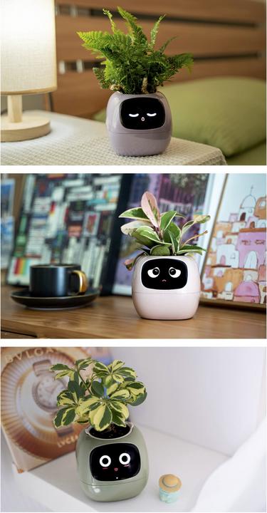 Image du produit Plantsio Ivy Smart Planter