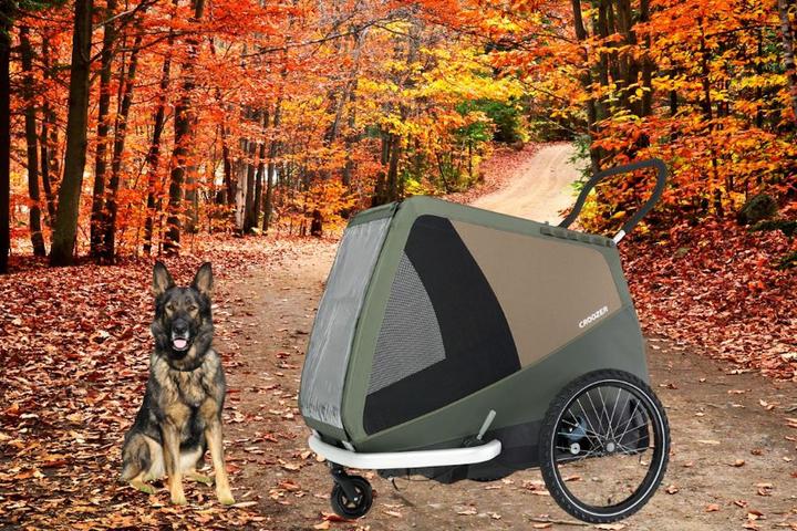 Produktbild Croozer Buggy-Set Einzeln zu Dog XL/XXL