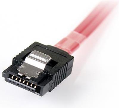 Actual product image StarTech SAS CABLE SFF-8087 TO 4X SATA