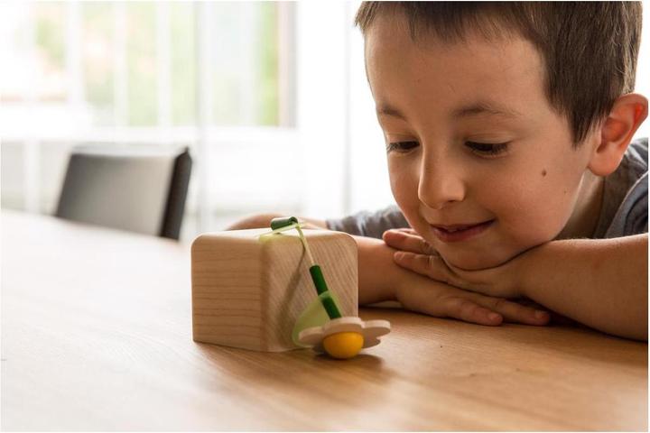 Immagine prodotto Cubo sonoro di strumenti musicali per animali domestici