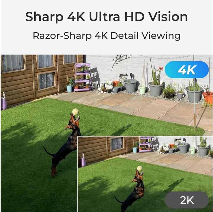 Actual product image Reolink NVS8-8MD4 (3840 x 2160 pixels)