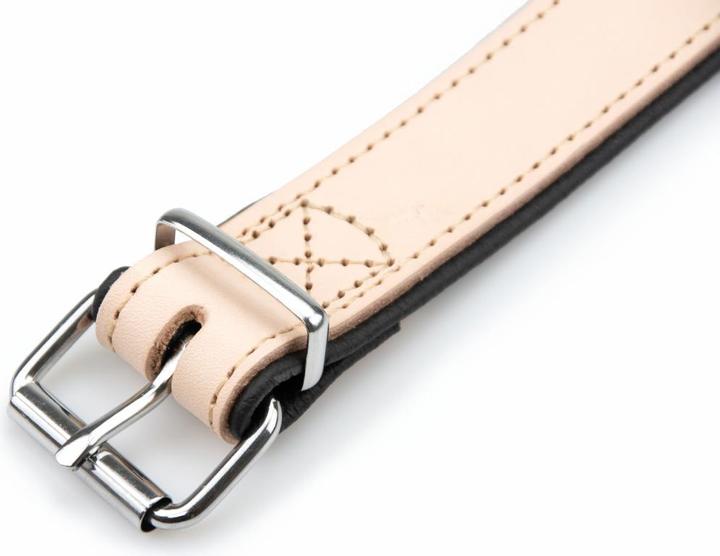 Produktbild Karlie Halsband Rondo, breit (S, Hund, Spazieren)