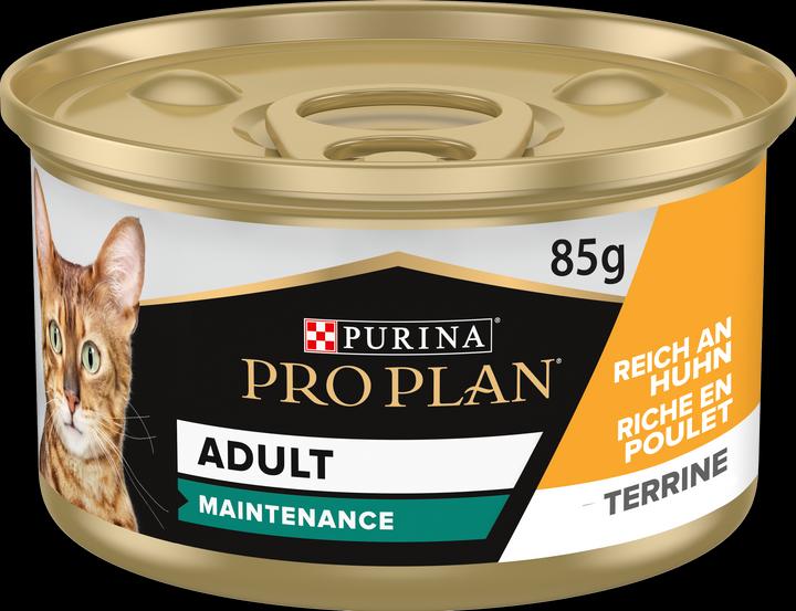 Pro Plan Maintenance Terrine (Adult, 24 Stk., 2040000 g)