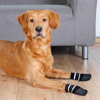 Immagine prodotto Trixie Calzini per cani taglia S-M (S, M, Calzini per cani)