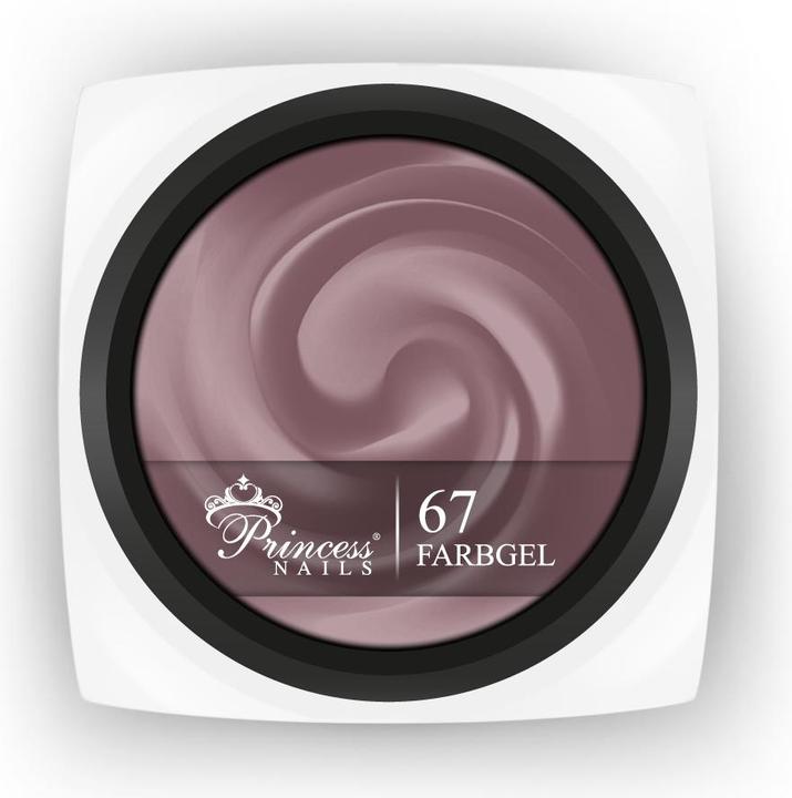 PrincessNails Farbgel 67