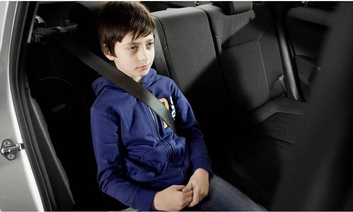 Actual product image LifeHammer Safety belt guide for children