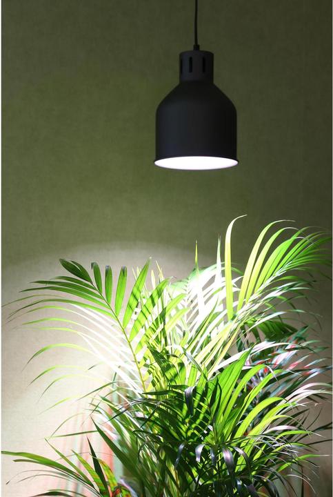 Produktbild Venso Saga (LED, 230 V)