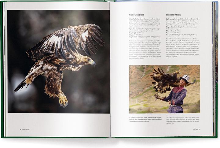 Produktbild Jagd - Das ultimative Buch (Deutsch, Peter Feierabend, Sascha Numssen, 2024)