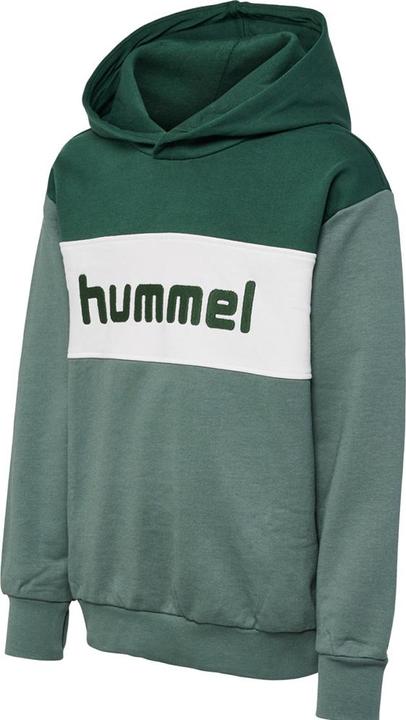 Actual product image hummel hmlMORTEN HOODIE (146)